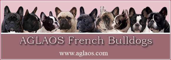 Aglaos French Bulldogs